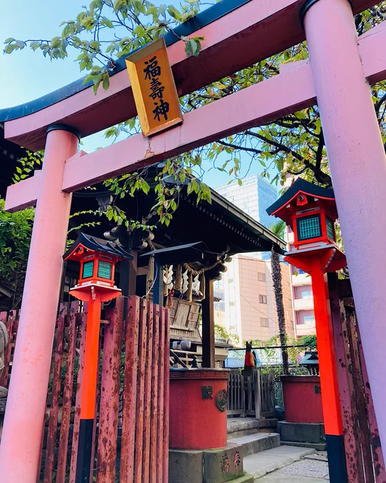《神田川》天気が良いのでお江戸をぶらぶら神田川沿いに柳森神社なるやしろを発見たぬきがいました 