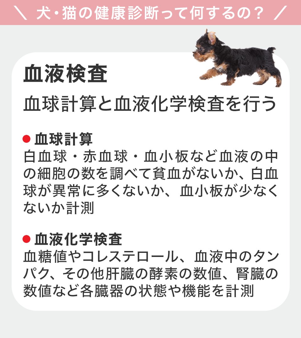 ロイヤルカナン Royalcaninjp Twitter