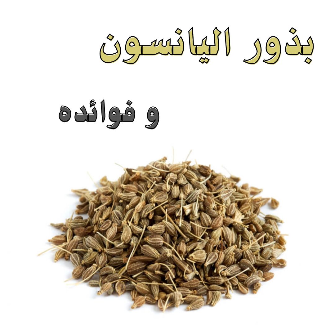 [ بذور اليانسون ] 💭 ما هو اليانسون • اليانسون (بالإنجليزية Anise) من النباتات ذات طعم حلو