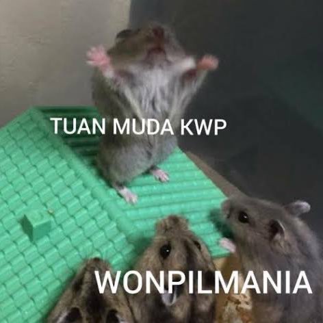 moonraiijeu's tweet photo. https://t.co/xLkKPC9uoX