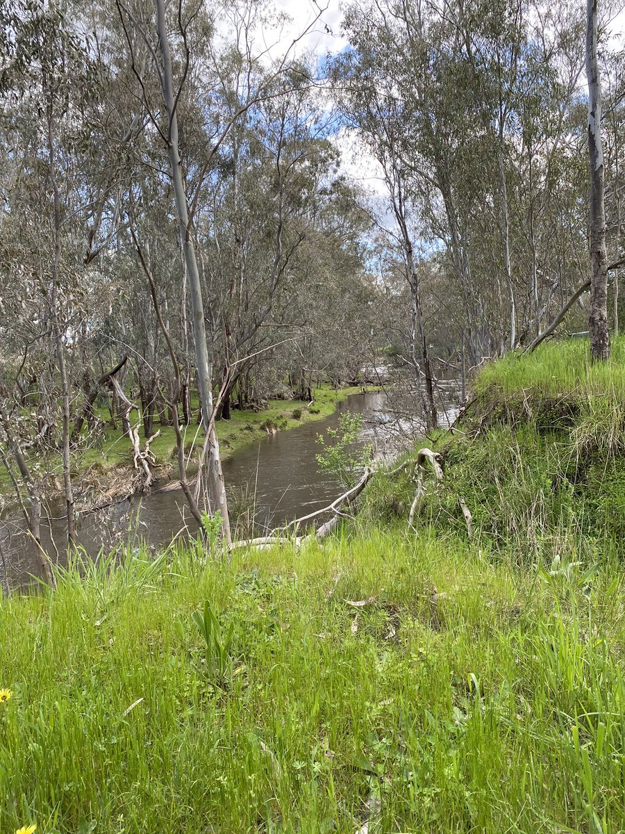 justinpk74's tweet photo. @maycocktel @alexnotalexandr @VillaJohn01 @simonshirley72 @RosscoLuke My view #sundayvibes #axedale #picnic https://t.co/oWYRBpWrlT