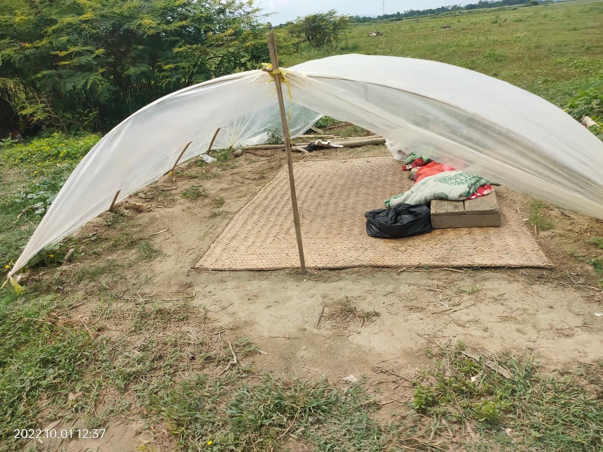 These IDPs from Yesagyo, Sagaing region have been living in such unlivable condition for > 2 months now after Min Aung Hlaing's terrorists raided their villages. To feed themselves, they've been fishing and rolling cigars just to get a few cents a day. 
m.facebook.com/story.php?stor…