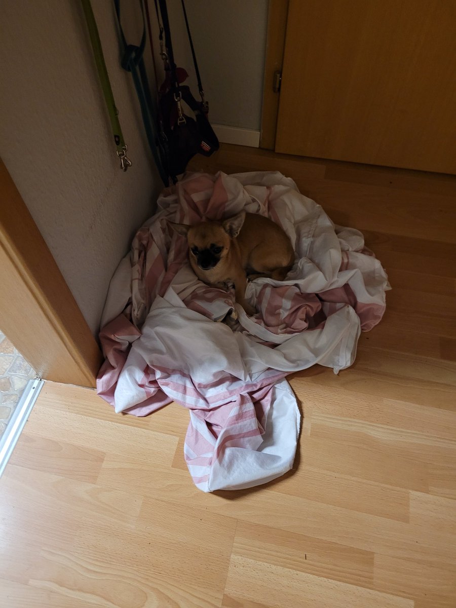 Pfoll blöde, Mama will die waschen. Muss ich verhindern.