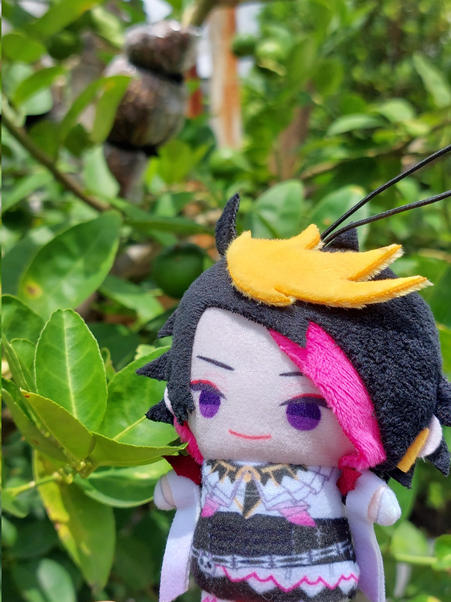 detone-on-twitter-shu-yamino-touch-grass-real-not-clickbait-https