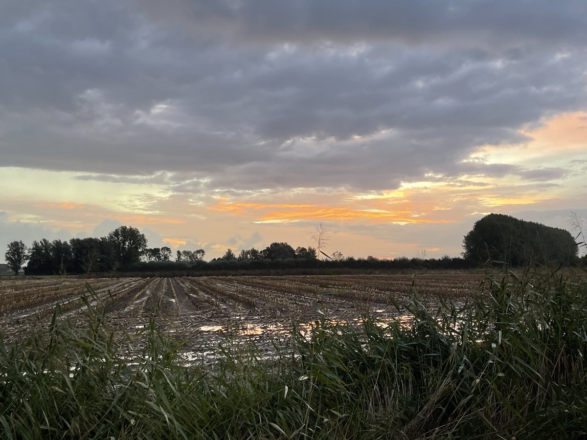 JanineBos's tweet photo. Goedemorgen! Na een nacht vol zorgen, komt de zon toch weer op. Geniet van een stralende dag! #uppel #altena #plukdedag https://t.co/qZXrzj28hJ