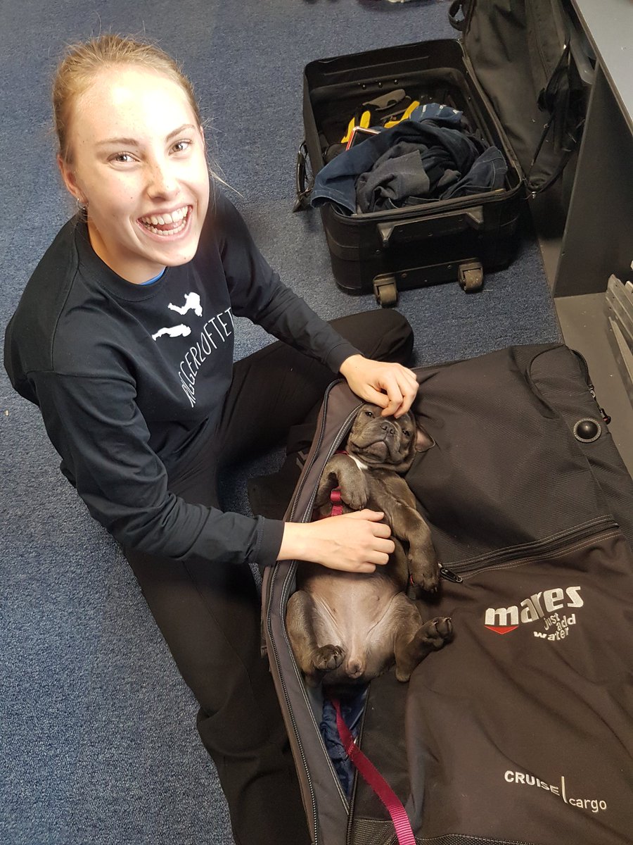 jamesseandoyle1's tweet photo. Sneaking pets into the packing area will still get you found out and pleads of guilty in cuteness announced. #skydiving #dropzonelife https://t.co/0P8AO18sGg