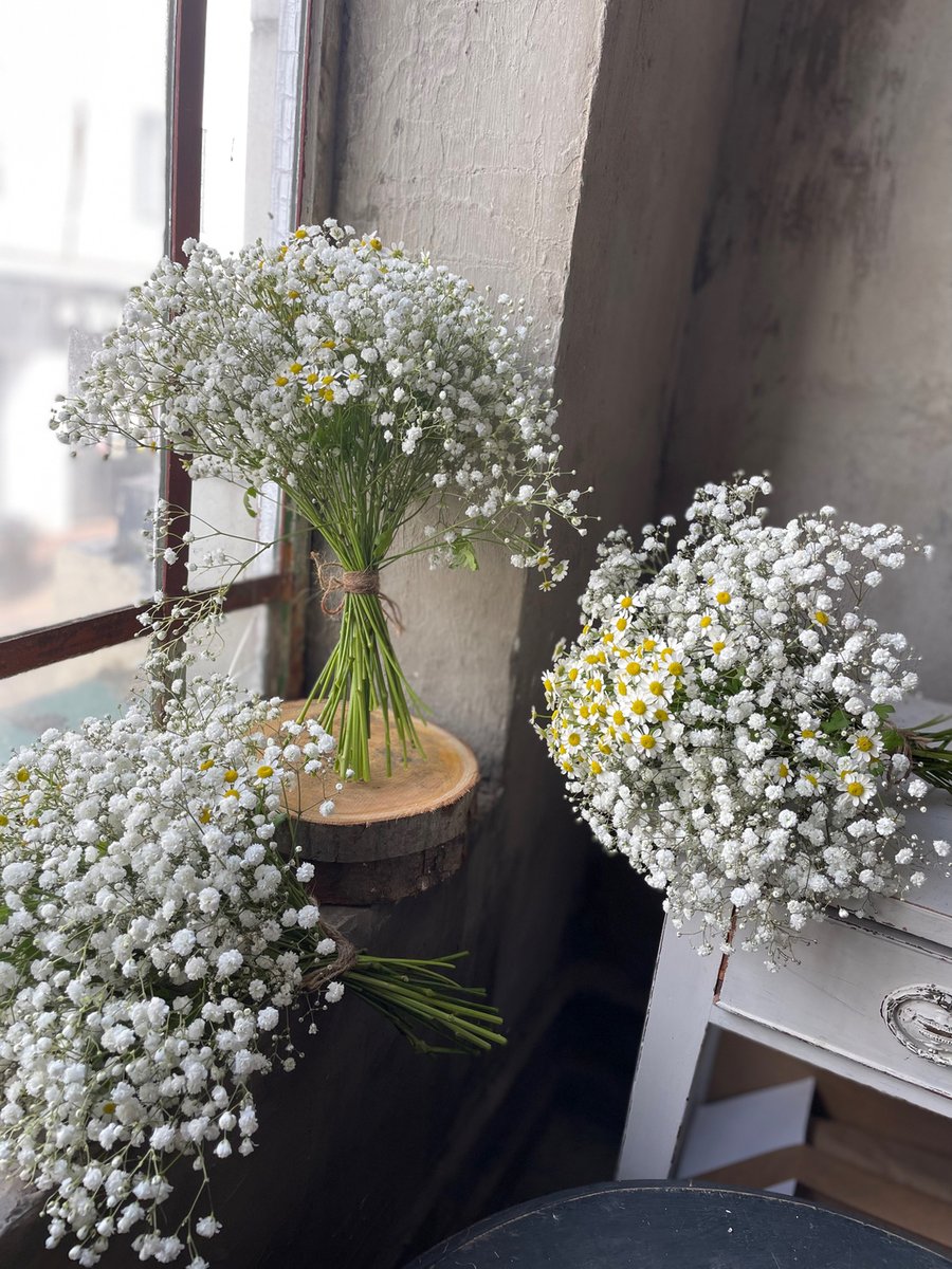 FlowerVinetta's tweet photo. Simple, elegant and timeless!
#weddingflowers #weddingflorist #buttonholes #groomsflowers #wedding #maidstonewedding #kentwedding #vinettaflowergallery #kentflorist #eventflowers #floralinstallation #bridetobe2023 #bridetobe2024 #weddinginspiration https://t.co/XpEE6xFaCP