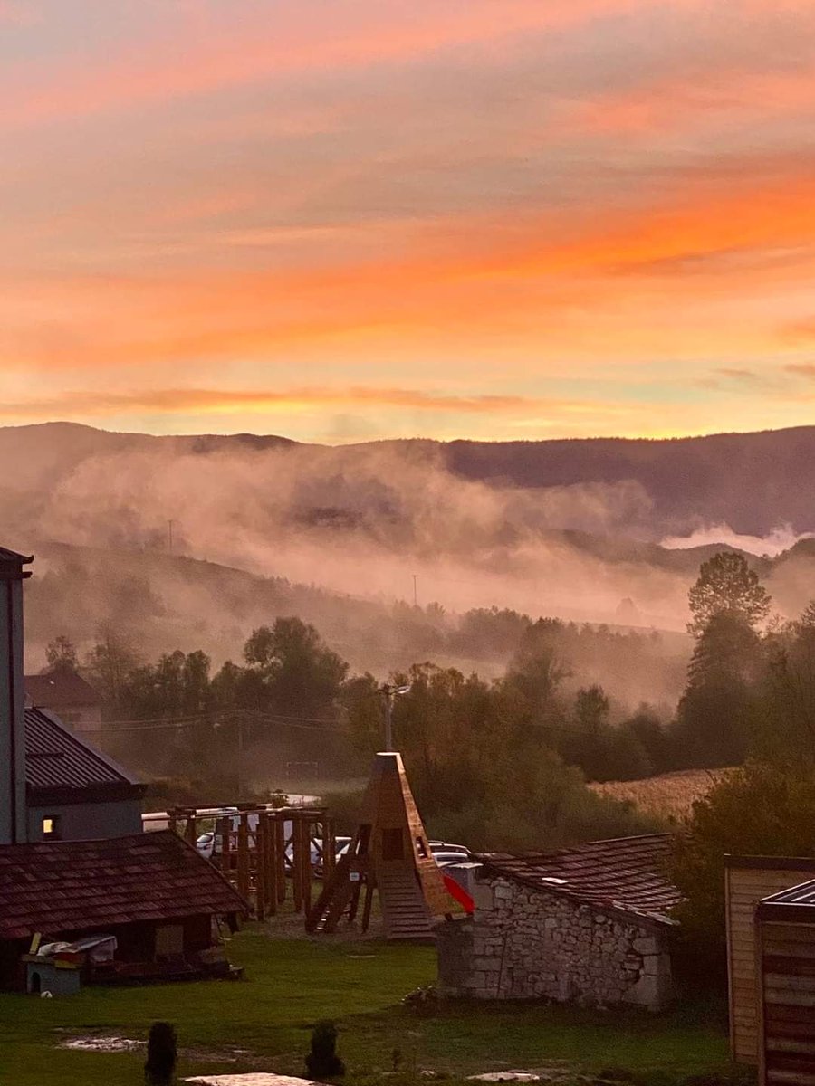 VisitPecka's tweet photo. Pecka i škola gljivarstva🥰🍄
Foto: Mirna Vujanovic https://t.co/AKltS8bIrj