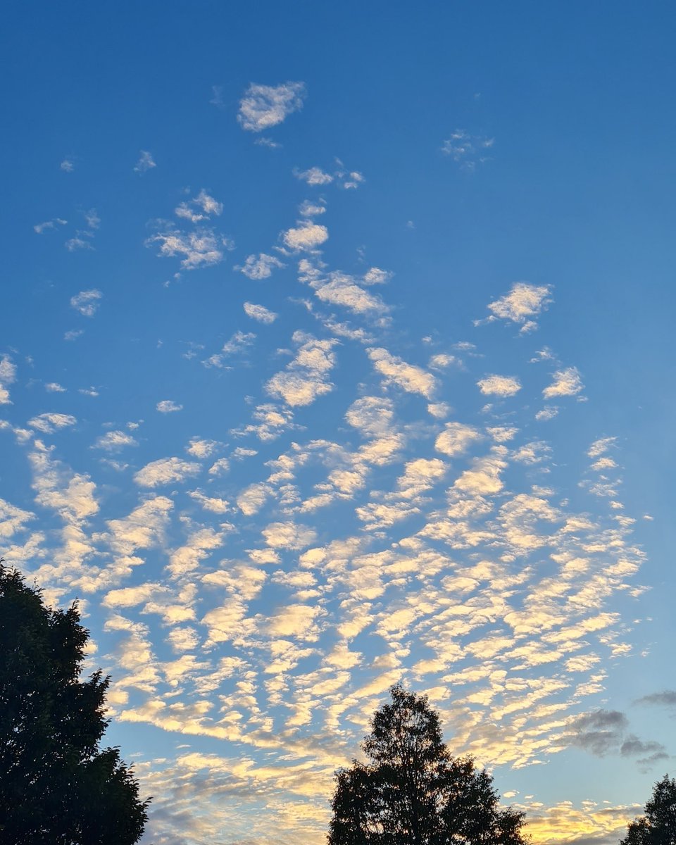 eGraphics Cloud (@eGraphicsCloud) / Posts / X