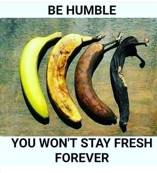 octavius miller (@octaviusmiller) on Twitter photo 2022-10-02 06:19:03 50 years of hip hop and Rap music in 2023 come celebrate with us West coast hip hop Awards 2023 Los Angeles California register ASAP octaviusmiller@yahoo.com wchha.com 17th Annual event and Seminar convention 2023 Networking branding specialist audiochain cannabis 50 years of hip hop and Rap music in 2023 come celebrate with us West coast hip hop Awards 2023 Los Angeles California register ASAP octaviusmiller@yahoo.com wchha.com 17th Annual event and Seminar convention 2023 Networking branding specialist audiochain cannabis