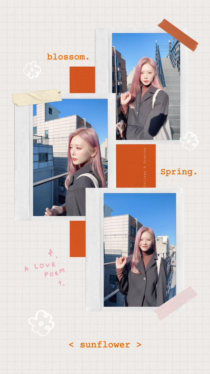 dejenvu17's tweet photo. The most beautiful sunflower ever 🌻🐰
#JIU #Dreamcatcher https://t.co/qhVVzNqAWB
