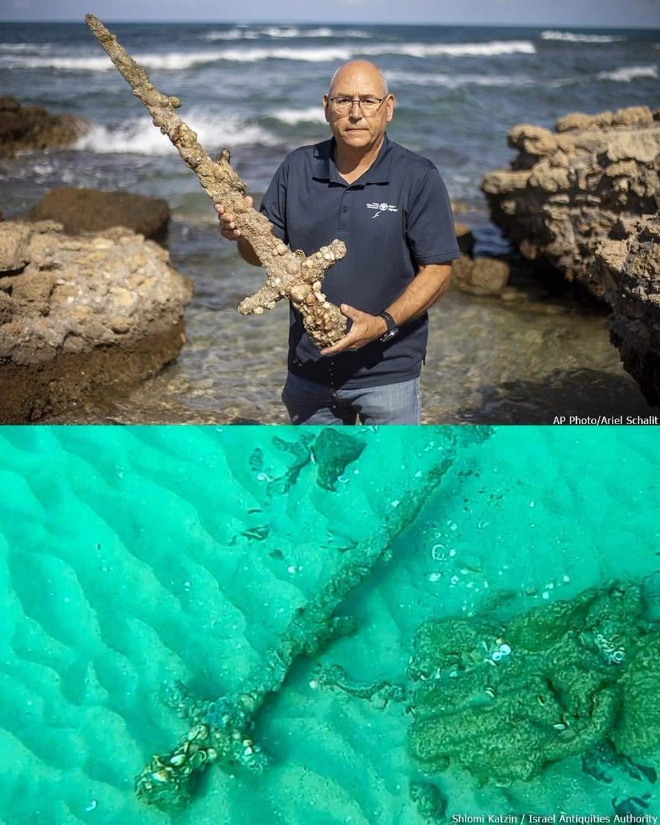 archeohistories's tweet photo. A diver swimming off HaCarmal coast in Haifa, has discovered a crusader sword dating from 900 years ago. Diver was about 150m off the coast in 5m deep water when he made discovery. The 4ft long sword was covered in shells and other remnants of sea life.

#archaeohistories https://t.co/rik9tw1CPo