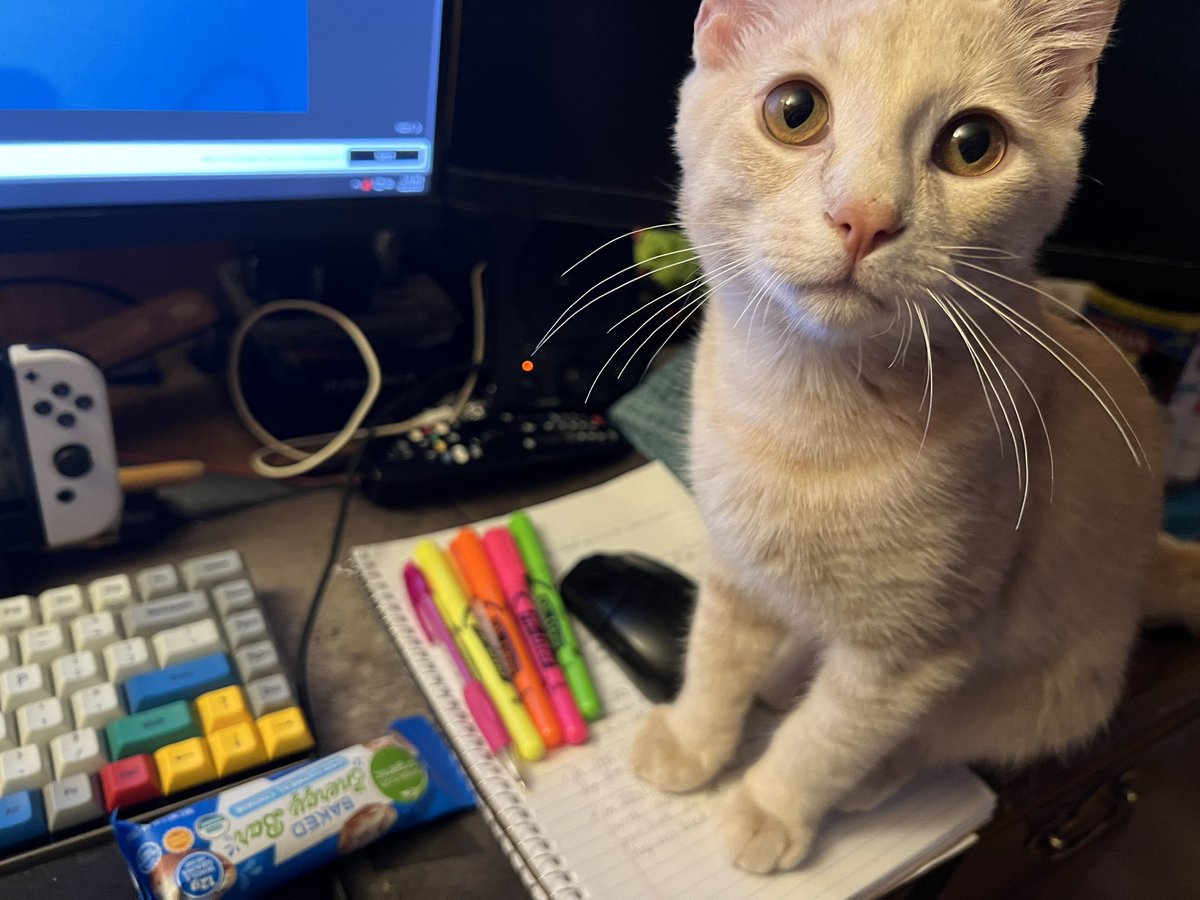 ladyfreya88's tweet photo. Another morning, another step closer to reaching my goals and dreams. School work is always better with a buddy 😸! But we have to take pet and scritches breaks to appease the Humbert! https://t.co/1vfrQIIwZE