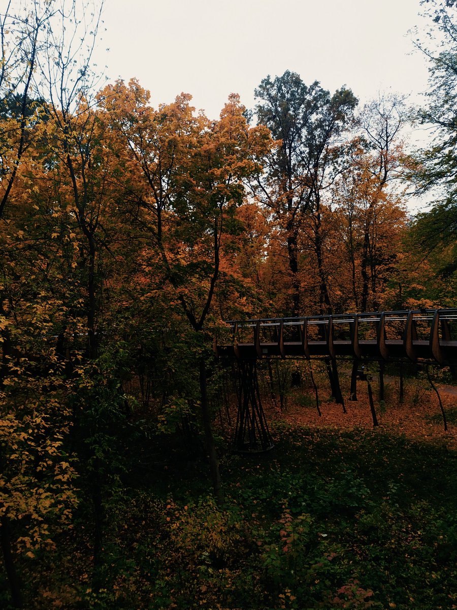 _getting_dark_'s tweet image. october... 🍂🍁