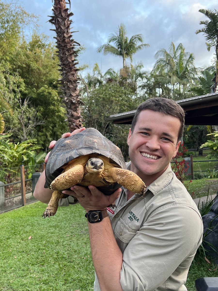 chandlerpowell9's tweet photo. So happy that these lucky radiated tortoises get to call @AustraliaZoo home. After being rescued from the illegal wildlife trade, they now get to enjoy green grass, sunshine, delicious food and a heated cave for cool nights🐢 https://t.co/VZiW8aJUcD