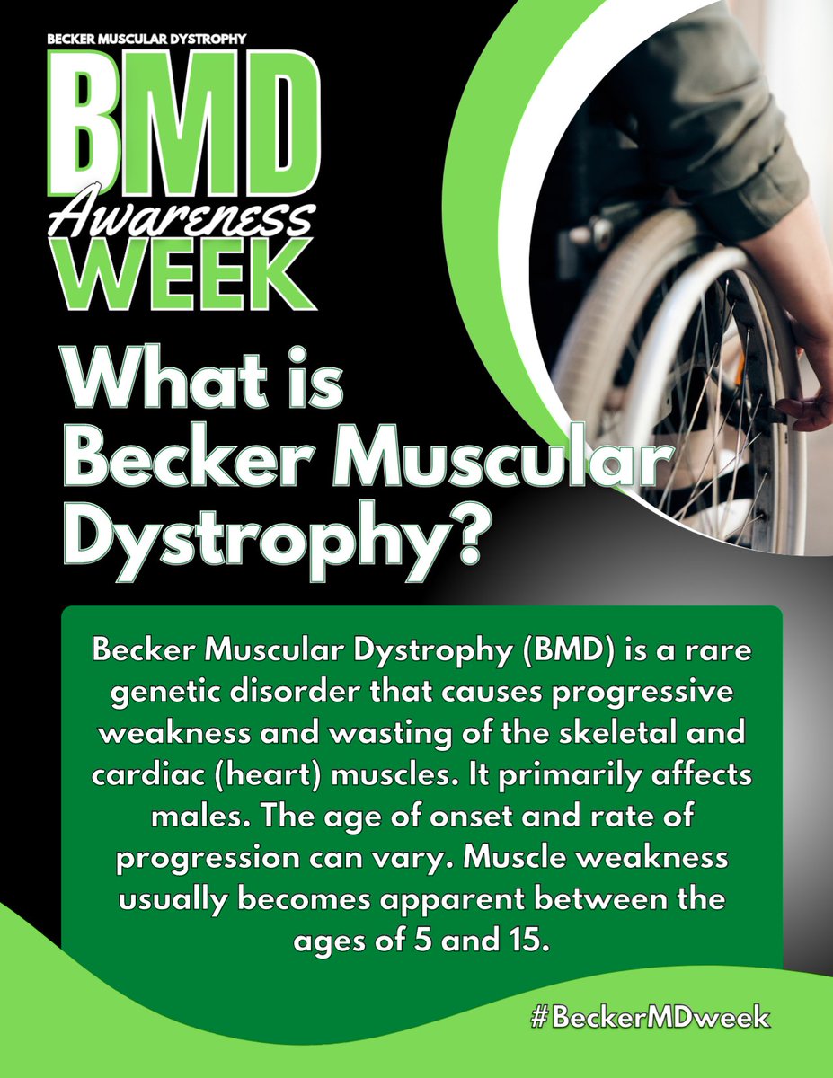 LAPS4MD's tweet photo. Today's is the start of Becker Muscular Dystrophy Awareness Week! I always start by providing a quick summary of what Becker Muscular Dystrophy is. Please RT and share! ➡️ For a more detailed description please visit https://t.co/OyRPhE9Btl #BeckerMDweek #MuscularDystrophy https://t.co/CZ8q3v1i43