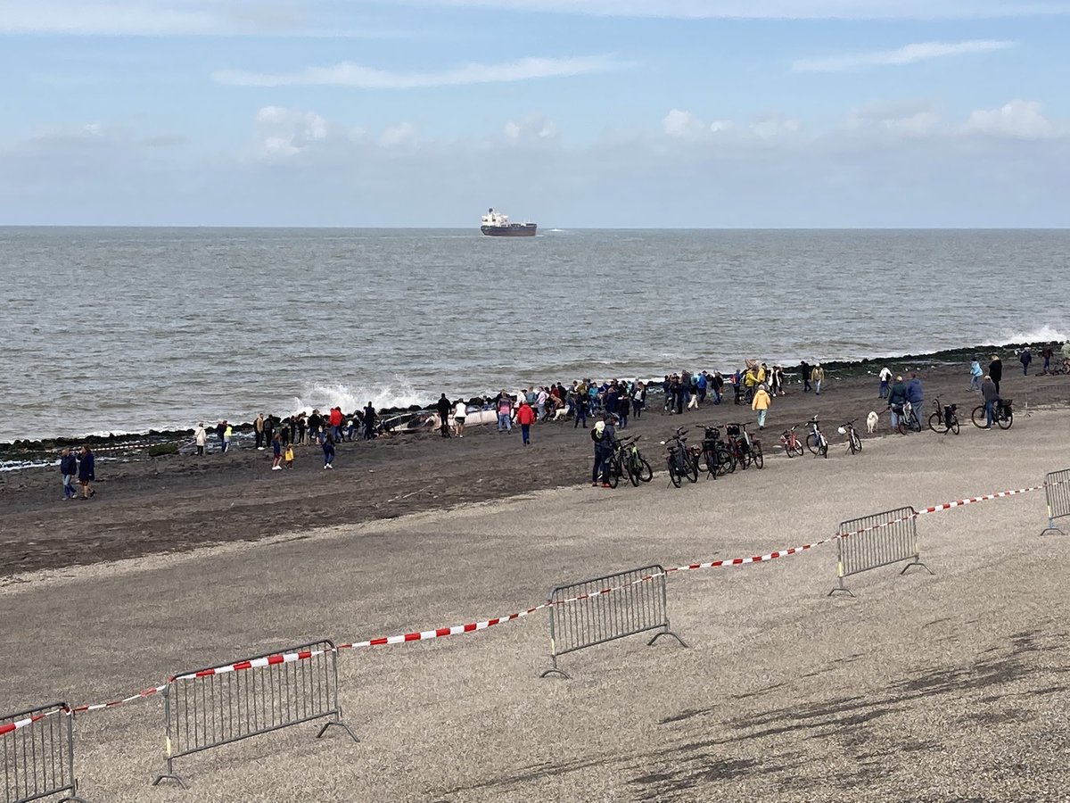 SimoneGideonse's tweet photo. De vinvis trekt inmiddels meer bekijks dan de wandelaars #kustmarathon #omroepzeeland #vinvis #westkapelle https://t.co/6XYmAA4VL3