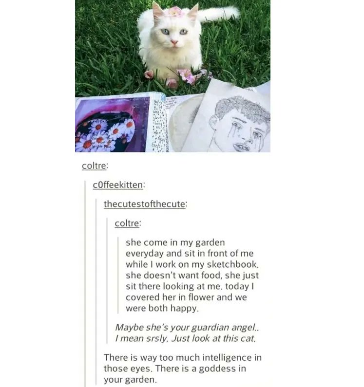 Uplifting Content by Ione Butler tweet media