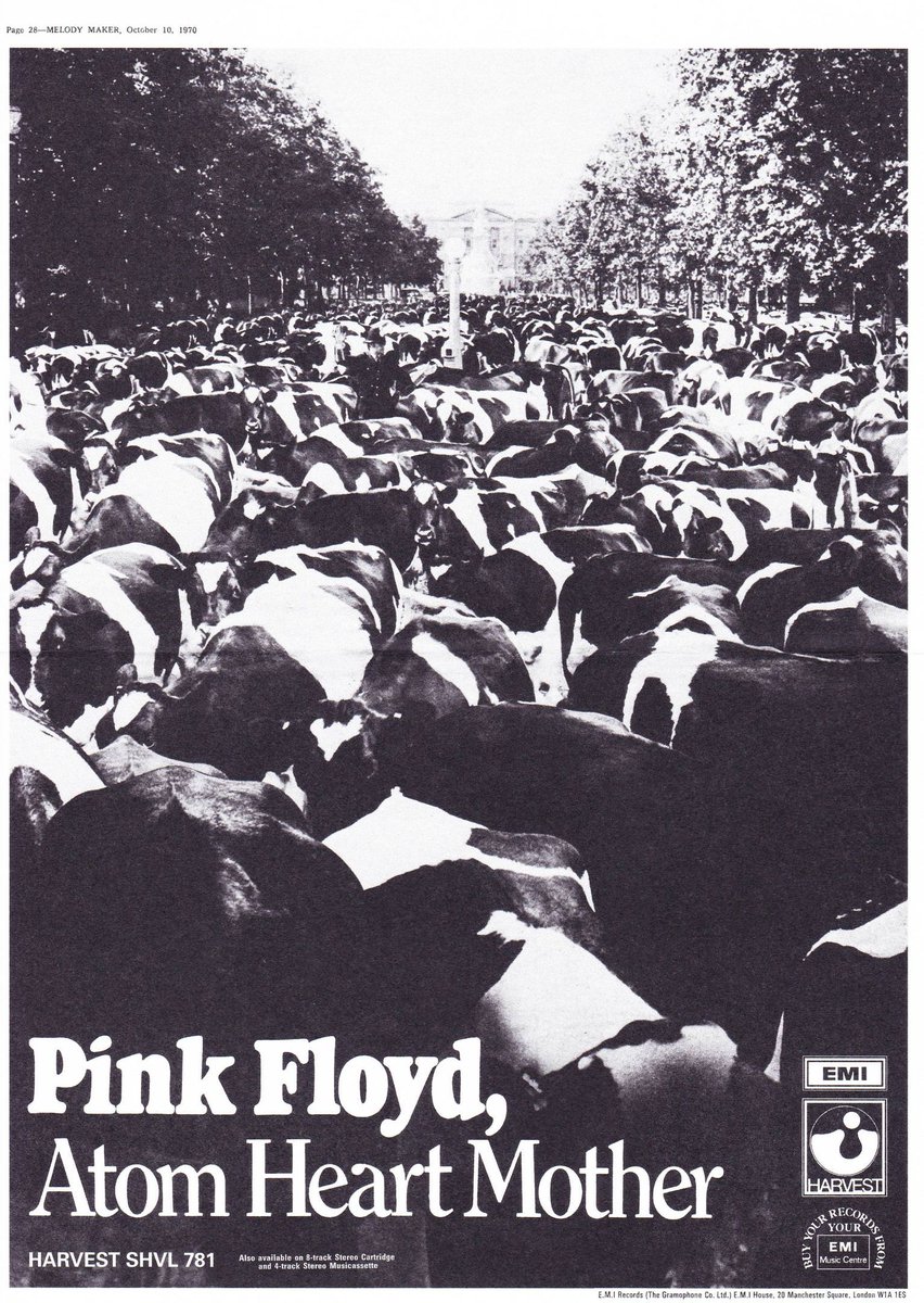 pinkfloyd's tweet photo. Today we mark the 1970 release of Pink Floyd's fifth album, Atom Heart Mother. A different take on the classic cow picture was used for this advert in the UK music press: https://t.co/WGdGjGnBSW