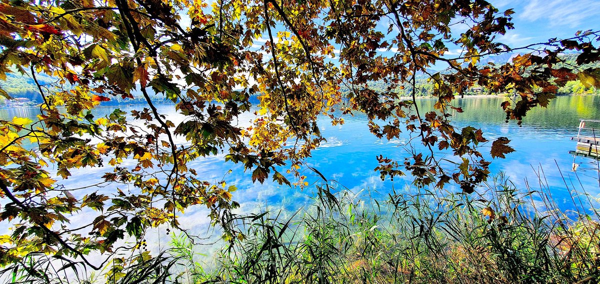 Lequazione's tweet photo. At the lake.
#Autunmcolors https://t.co/UPELeHSjwy