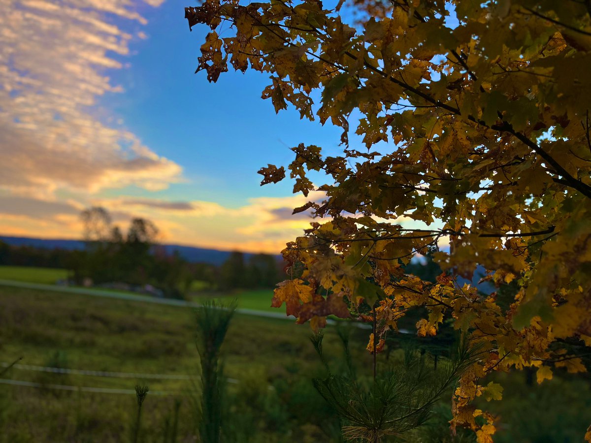 anson_ag's tweet photo. Breezy morning in the Green Mountains but sun in the forecast: https://t.co/zfLEVNdW8r Warmer temps return later in the week. Looks like a great day for a foliage tour. #sunrise #sunday #takeroadlesstraveled https://t.co/N0k8FAqB7F