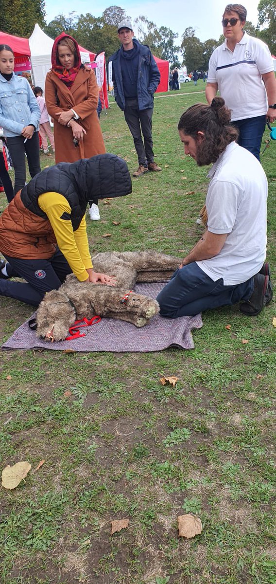 Unass_IdF's tweet photo. Il n’y a pas d’âge pour aimer nos amis à 4 pattes. Alors venez vite découvrir nos formations canin félin et citoyennes pour la fête des animaux à Morangis, parc St Michel. https://t.co/YC1UcOtXzL