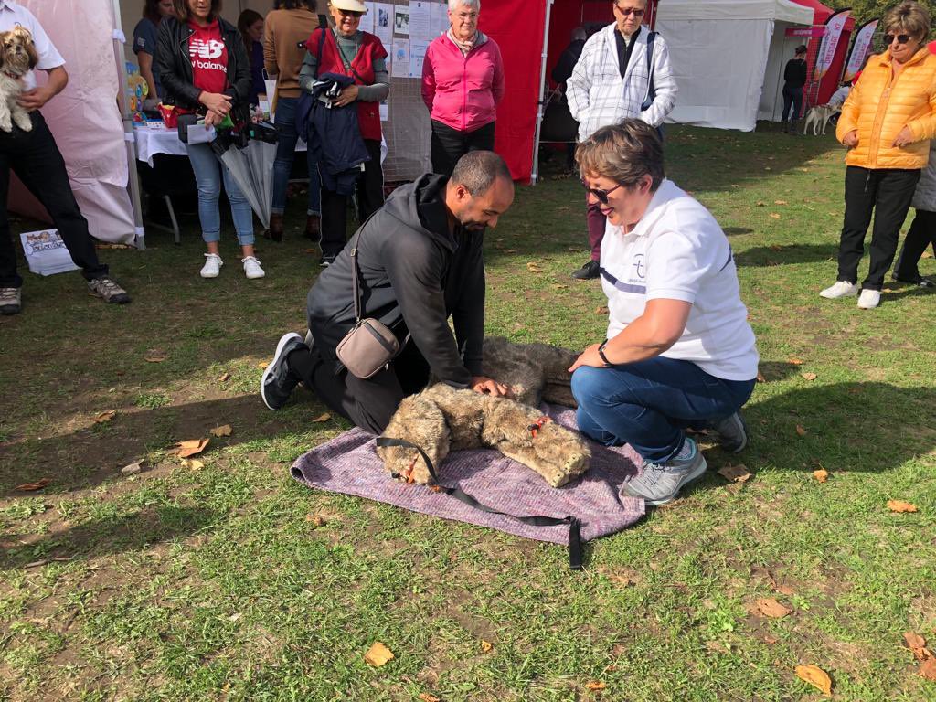 Unass_IdF's tweet photo. Il n’y a pas d’âge pour aimer nos amis à 4 pattes. Alors venez vite découvrir nos formations canin félin et citoyennes pour la fête des animaux à Morangis, parc St Michel. https://t.co/YC1UcOtXzL