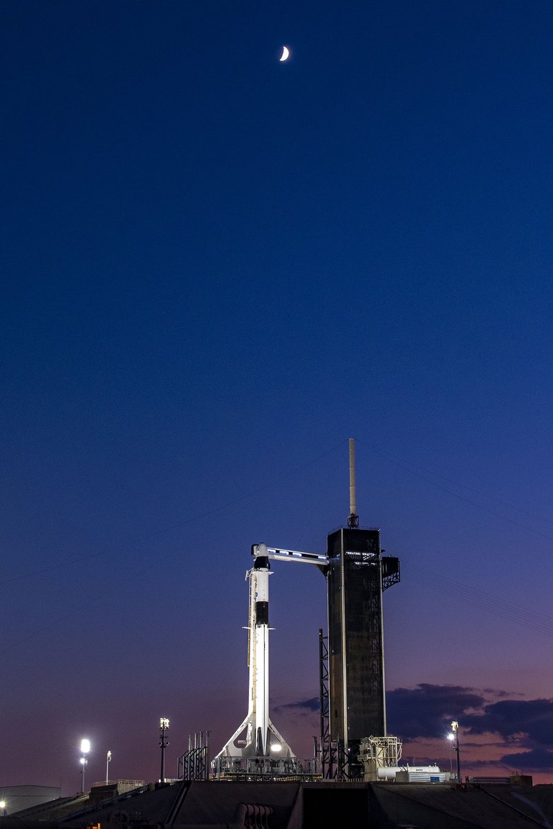 Elon Musk (@elonmusk) on Twitter photo 