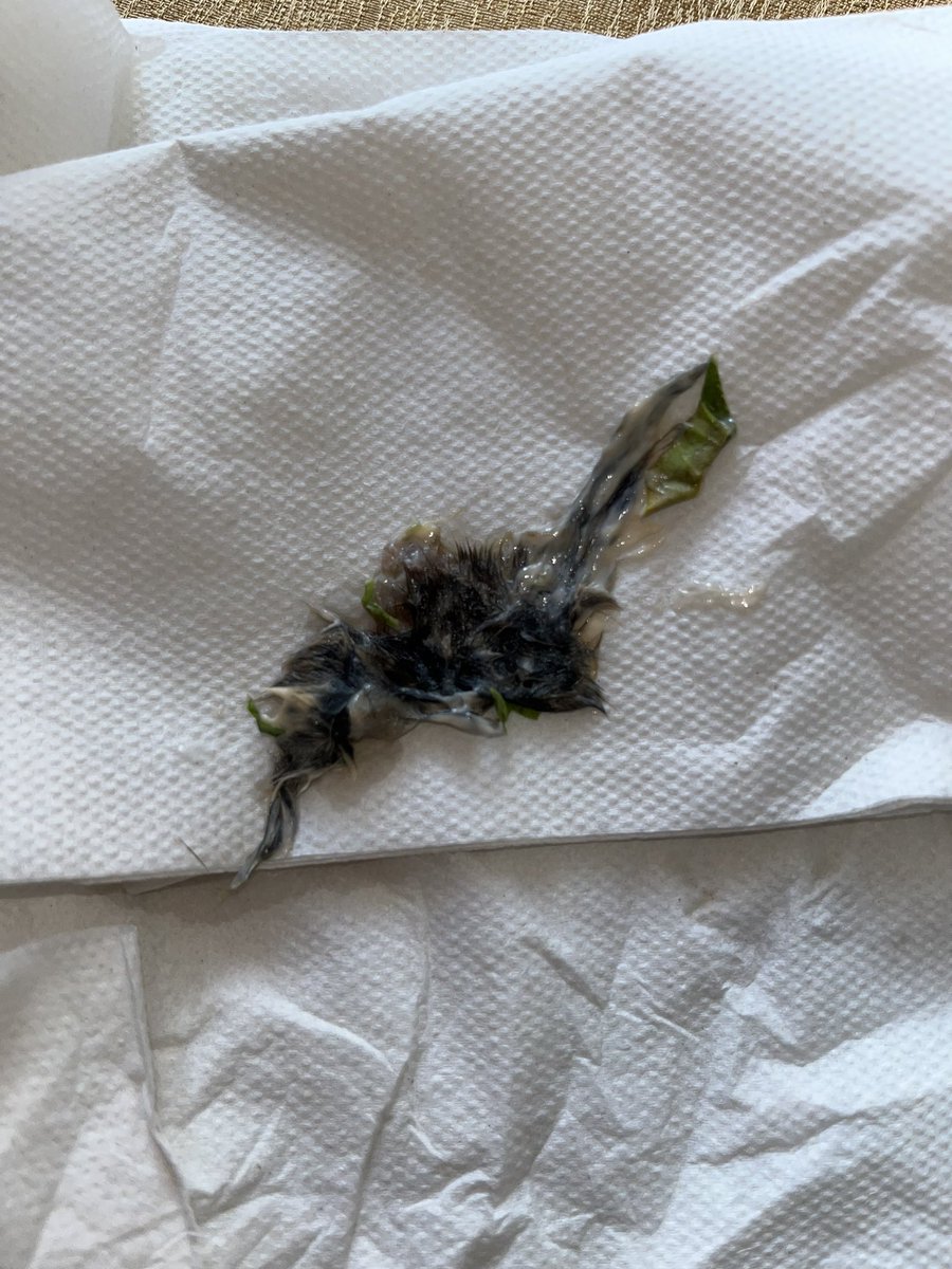 Mrs Burns tweet media