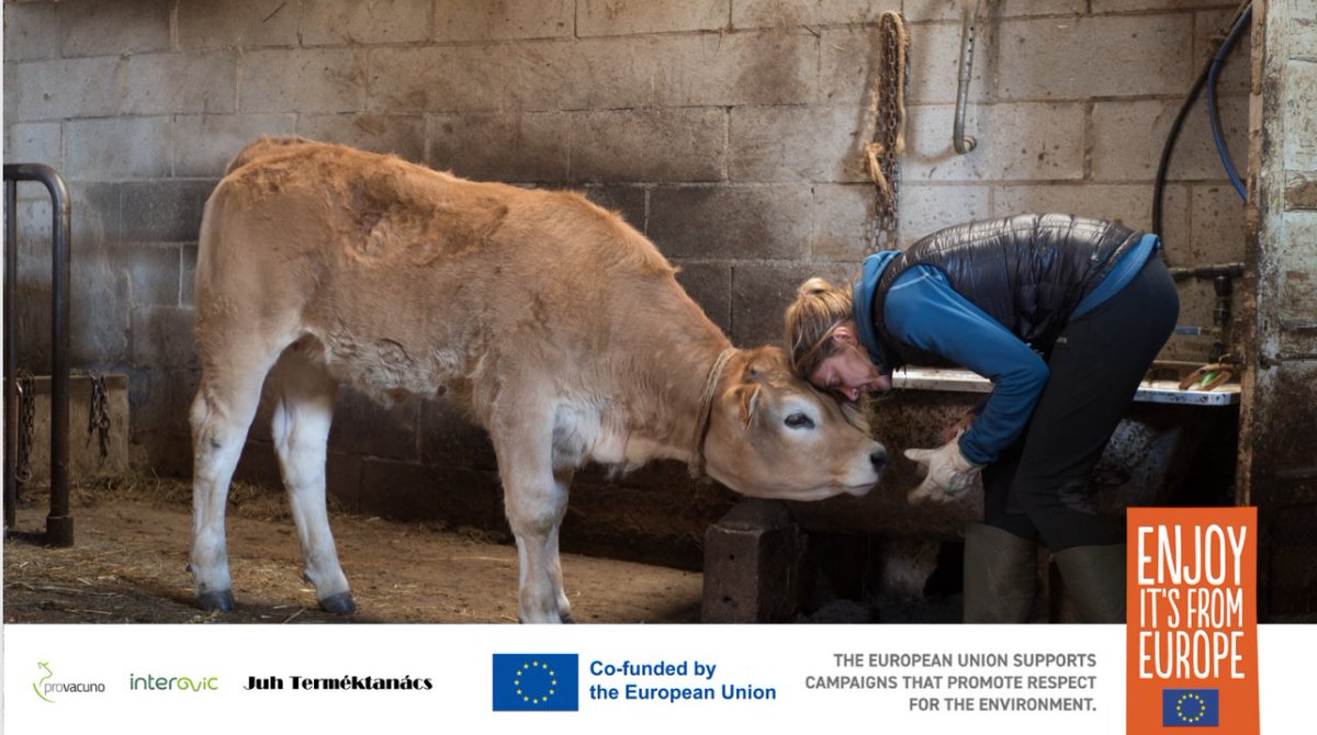 Si San Francisco de Asís levantara la cabeza…
👉🏼 Se anticiparía a las nuevas necesidades de los animales. 🐂🐑

Este es uno de los 5 requisitos fundamentales en el compromiso #BienestarAnimalEuropeo. 💚🇪🇺

04.10. #DíaMundialDeLosAnimales (y de su bienestar).