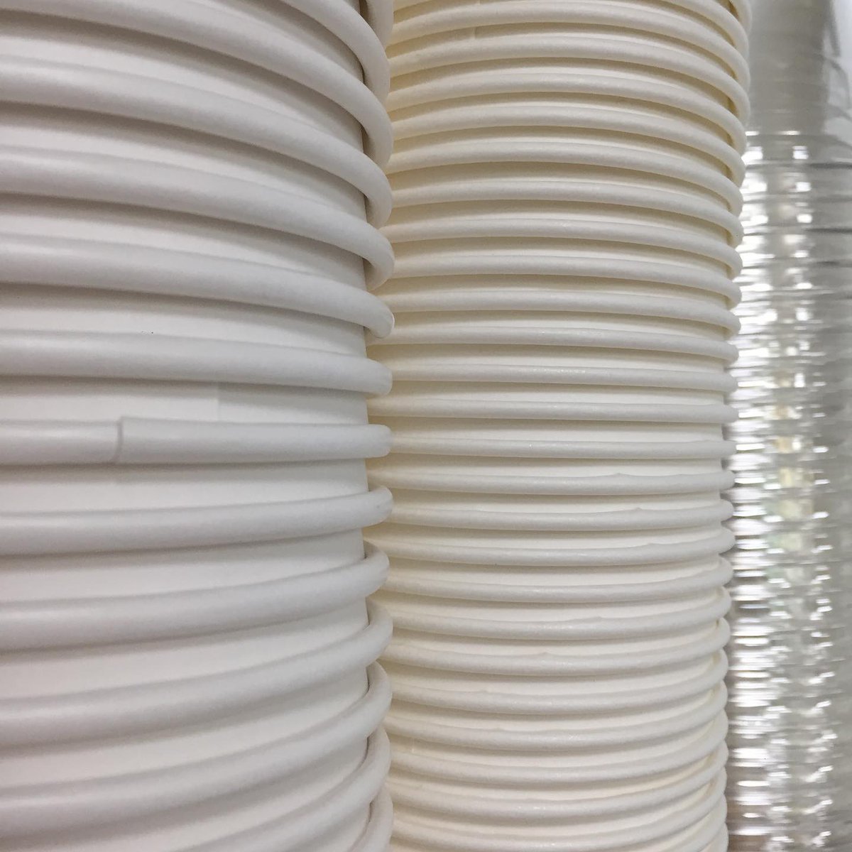 Patterns of Life NFT tweet media