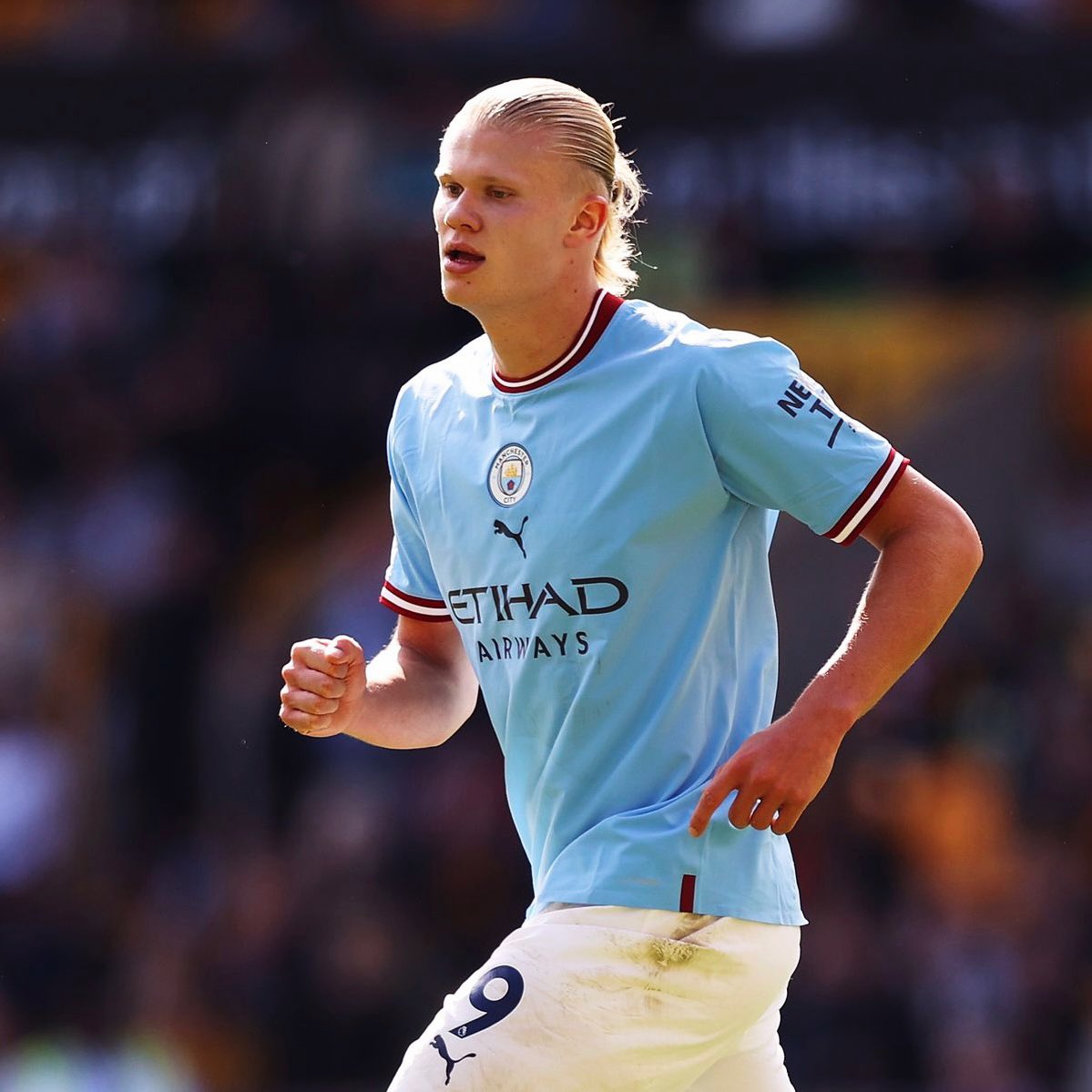 WHITE HART tweet media