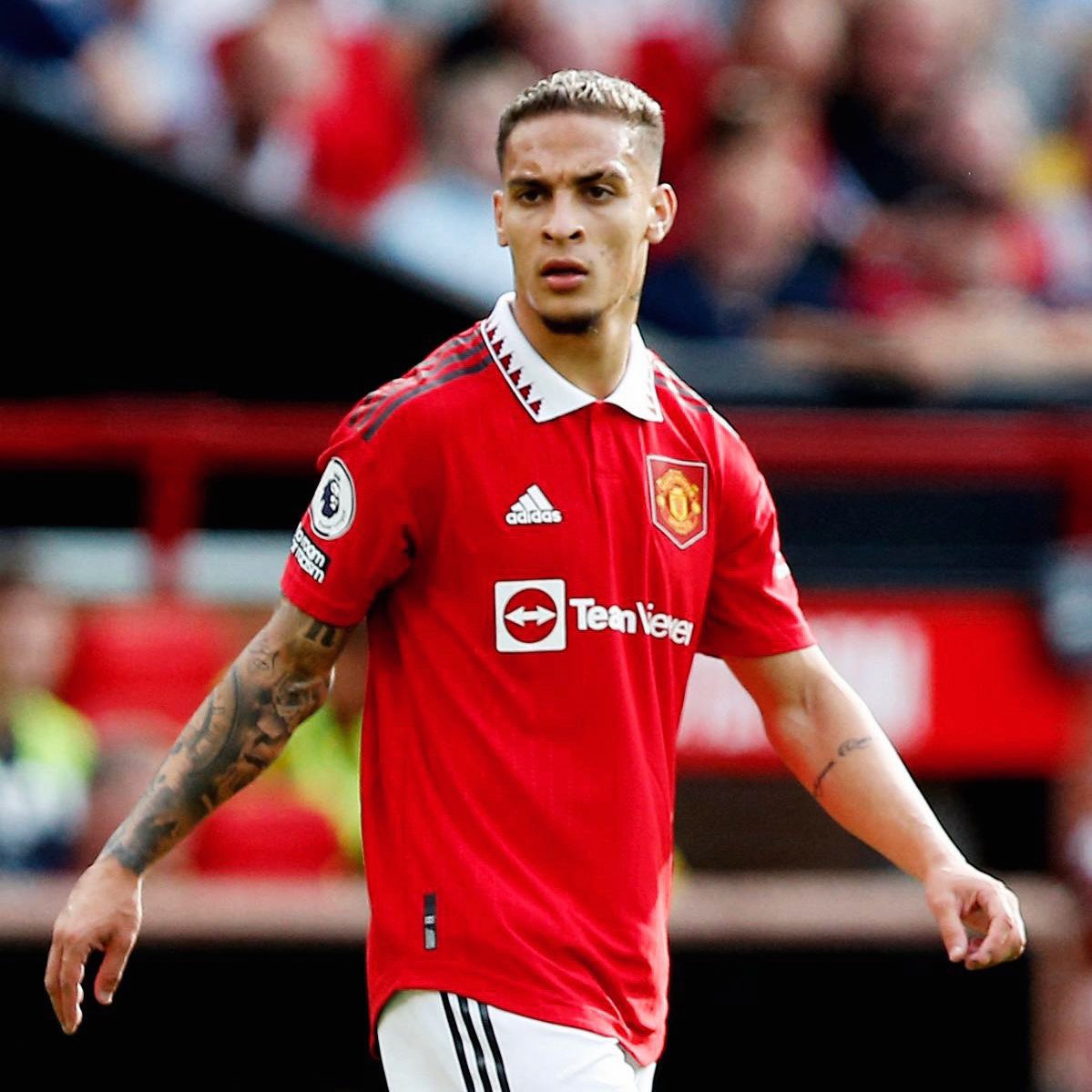 WHITE HART tweet media