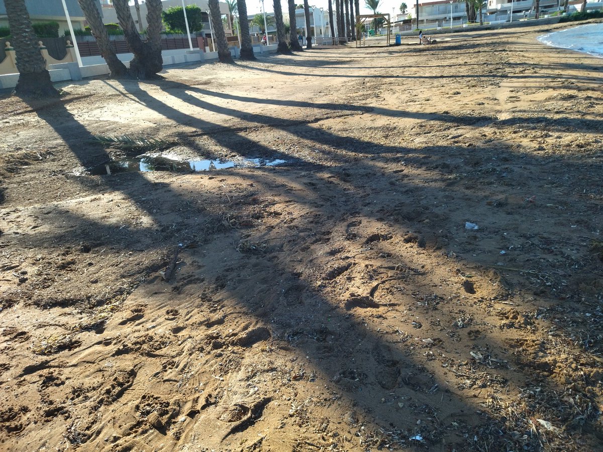 Lgbocanegra7's tweet photo. Tras intensas lluvias. 1 semana. 7 días. 0 limpieza. 0 mantenimiento...

Así lucen las playas del #SOSMarMenor

De esto eres imagen @carlosalcaraz

@AytoCartagenaES
@NoeliaArroyoHer 
Venga que vienen elecciones! https://t.co/XIpgSyEg1k