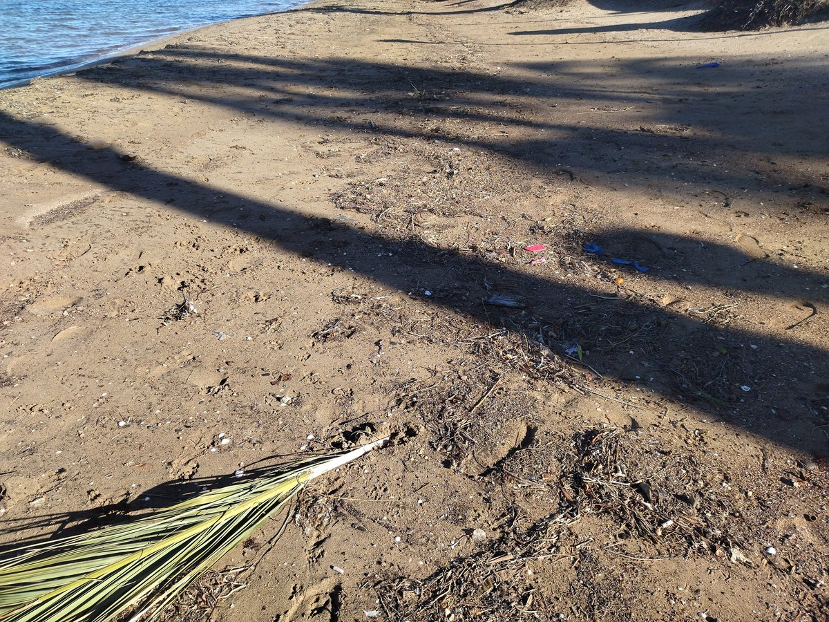 Lgbocanegra7's tweet photo. Tras intensas lluvias. 1 semana. 7 días. 0 limpieza. 0 mantenimiento...

Así lucen las playas del #SOSMarMenor

De esto eres imagen @carlosalcaraz

@AytoCartagenaES
@NoeliaArroyoHer 
Venga que vienen elecciones! https://t.co/XIpgSyEg1k