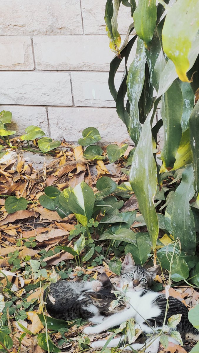 أول يوم في سنة تالتة🚶🏽‍♀️