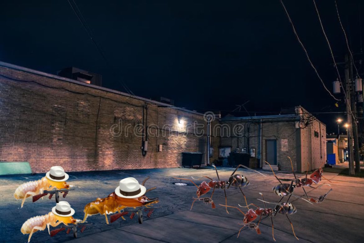 TonydaTermite's tweet photo. Had a run in with the ant gang. Thought they could ambush us but we fought ''em off. Don't mess with the Barone Termite Mafia😤 there's a reason the Don made me a capo https://t.co/MJCzKoAGDG