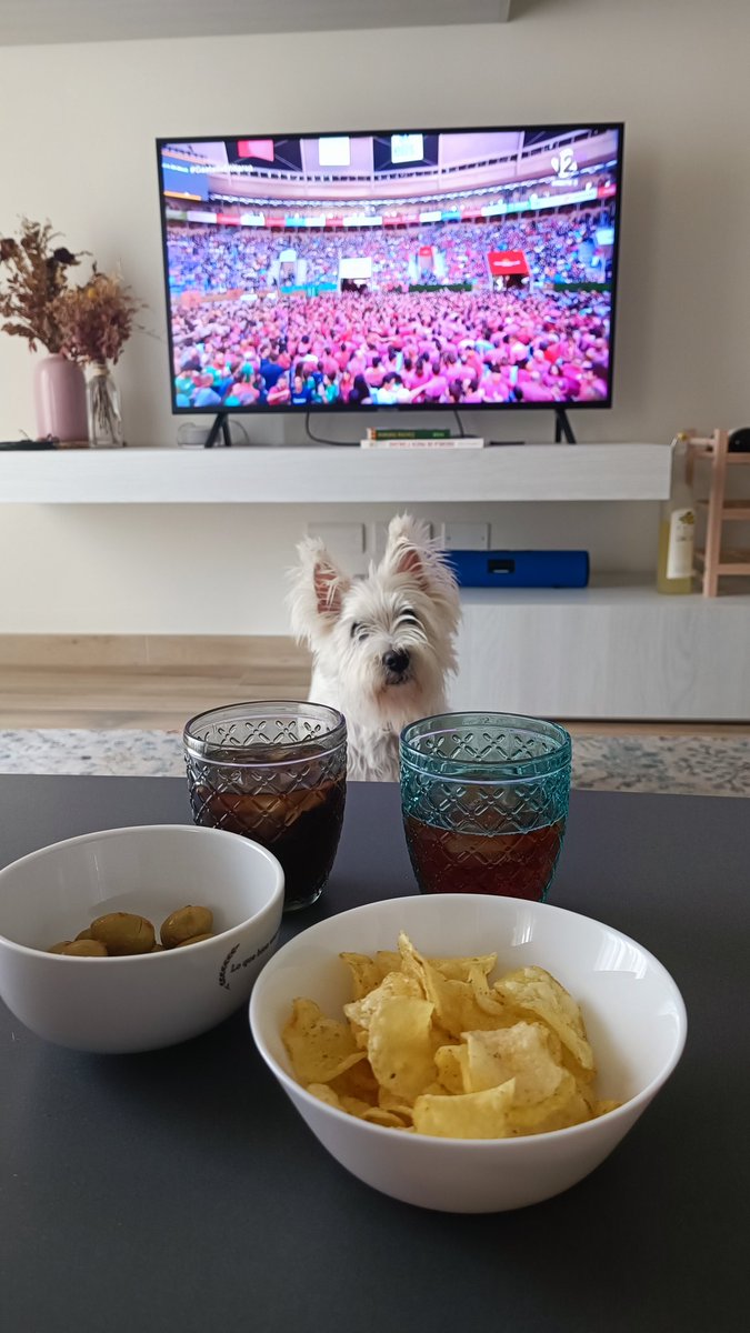 Aquí estem des d'Itàlia (Venècia) veient el #ConcursTGN22 (bé, el Brownie mira el vermut). L'emoció traspassa la pantalla 🙌 
#castellsenxarxa #AraJove