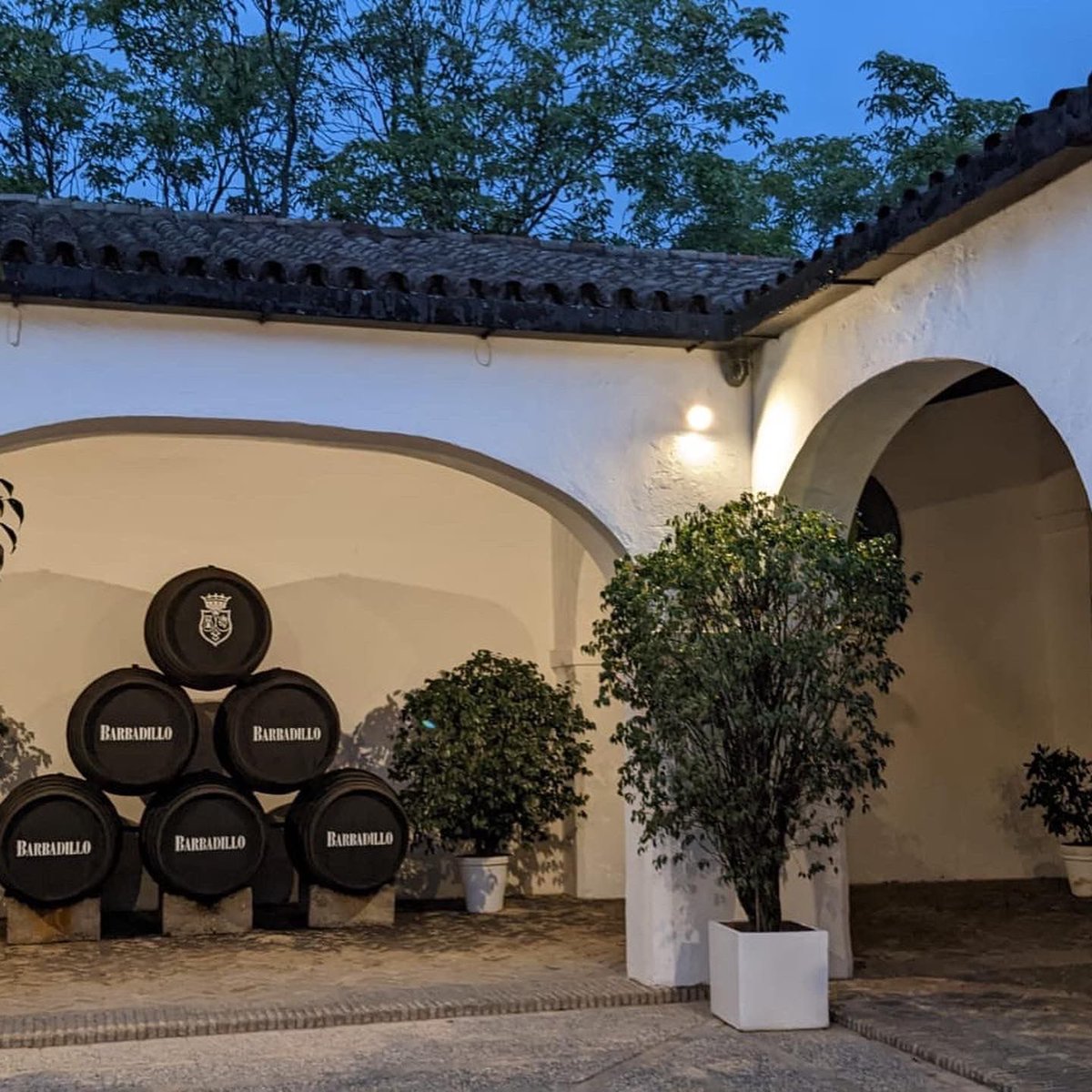 Vermut Wine Bar tweet media