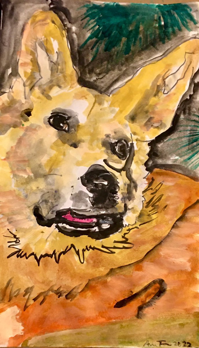 amitallman1's tweet photo. Ami Tallman: Lobo on night patrol amongst the palm fronds
gouache, watercolor, acrylic and ink on paper
9” x 14 inches
#amitallman #bluechipaf  #earnesty #losangelesartist  #irrigourous @rexatious #feyfists #prettyviolent #artcentermfa #womenartists #lobo https://t.co/Lm1OGpkZg9