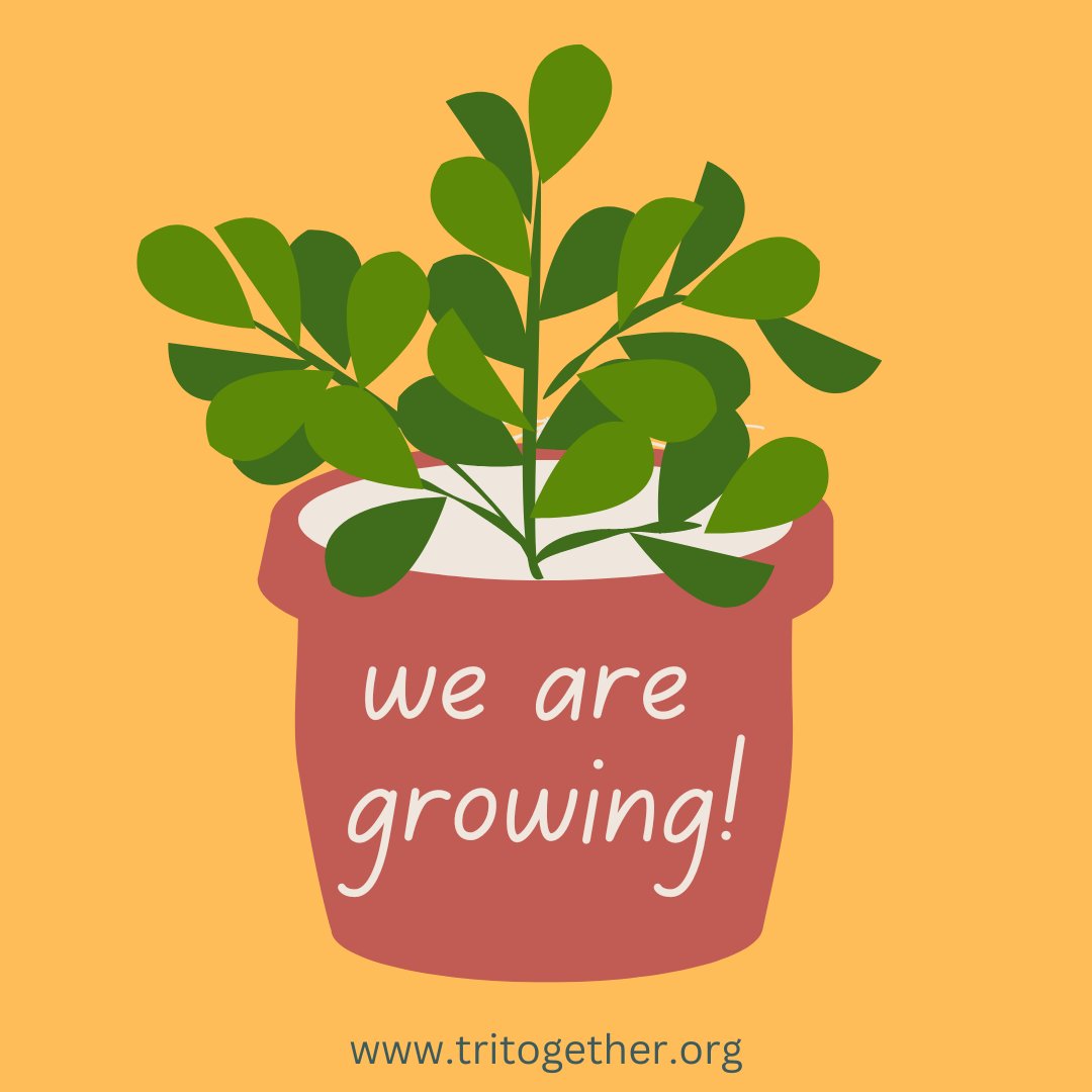tritogether's tweet photo. We are growing! As of today, less than a year in, we have nine active matches. Join our mission, whether as a referrer or volunteer. #nonprofit #volunteer #mission #education #teachersoftwitter #EducationForAll https://t.co/fRS2ssPrOf