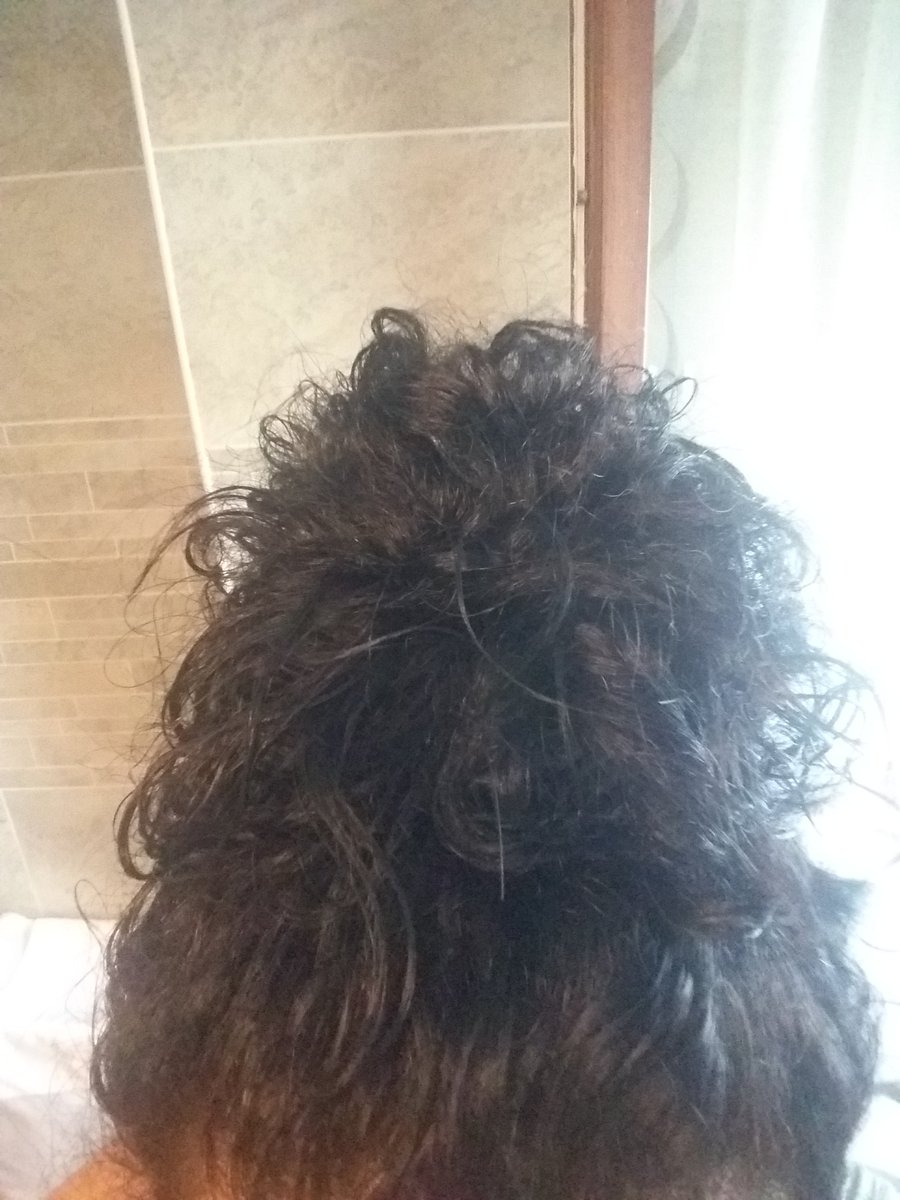 donata_accogli's tweet photo. Bella giornata, voglia di stare fuori, ma c'è un'invasione di #Cimici🙄🙄🙄 ho fatto lo chignon....si sa mai che si annidino nei ricci 🤣#Odiose https://t.co/0zDrbXtHyu
