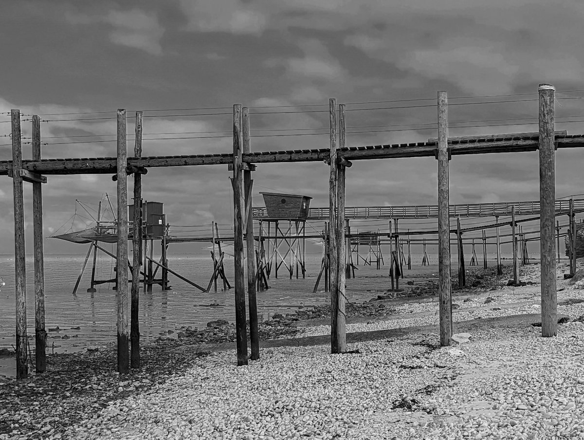 sandrinegaucher's tweet photo. Forêt maritime #blackandwhitephotography #blackandwhite #carrelets https://t.co/4wOLlnvy5r