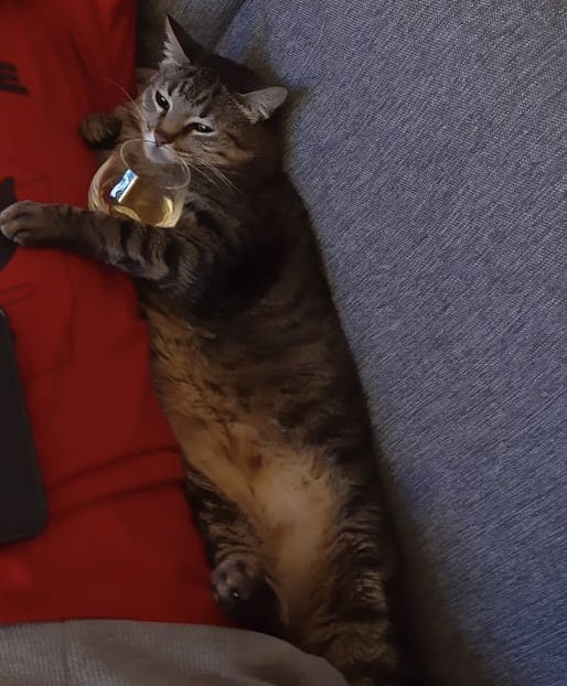 Gabriel Landi tweet media