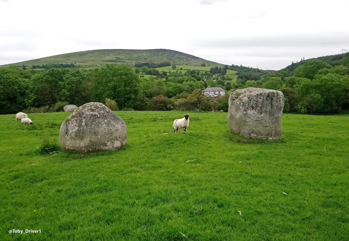 The first #StandingStoneSunday of October! Here is a sheep framed by two of the Piper's Stones in County Wicklow, #Ireland, in summer 2019. A really wonderful stone circle, a short walk from the road