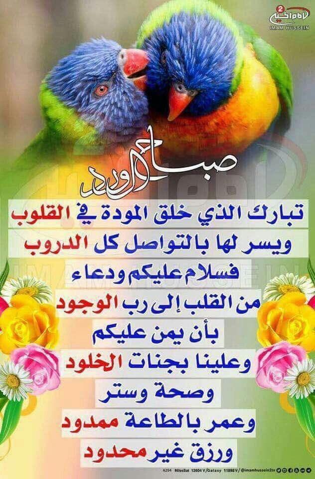 malak200a's tweet photo. #تداول #فوركس #تحليل #اسهم #عملات_رقمية
#forextrader
اسعد الله صباحكم بكل خير 🌹 🌹
اللهم صلي وسلم علي سيدنا محمد عليه افضل الصلاه والسلام 🌹
تابعوني على قناتي 👇 👇

https://t.co/G7SsqmNGYf https://t.co/TwXBXklWwv