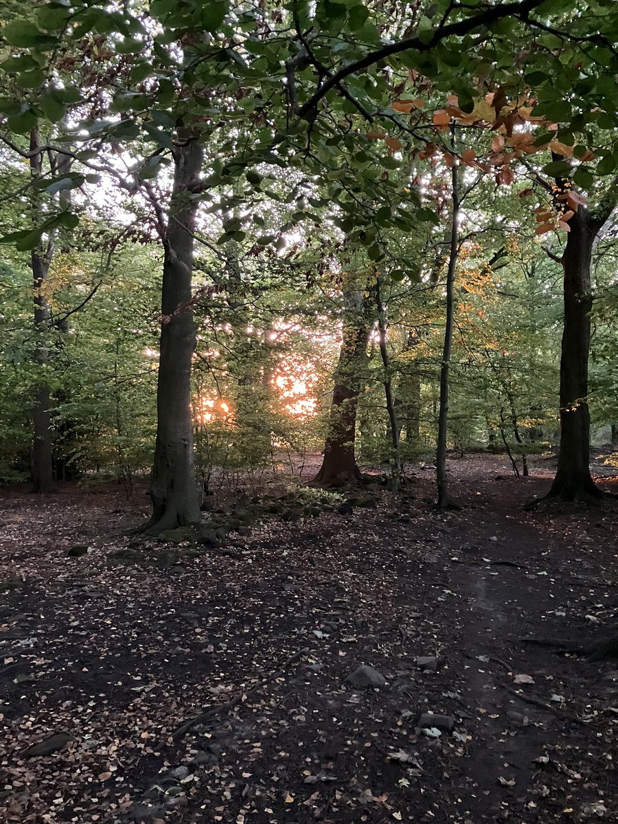LizJFields's tweet photo. Morning everyone! Sunday sunrise https://t.co/rBeEr3IjoN