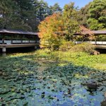 金沢・辰口温泉まつさきのツイート画像