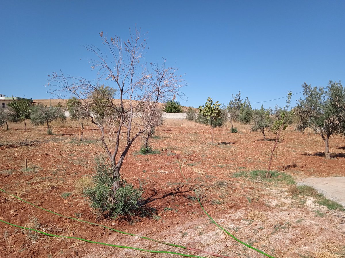 Abdullah Yücel (@530_157) on Twitter photo 