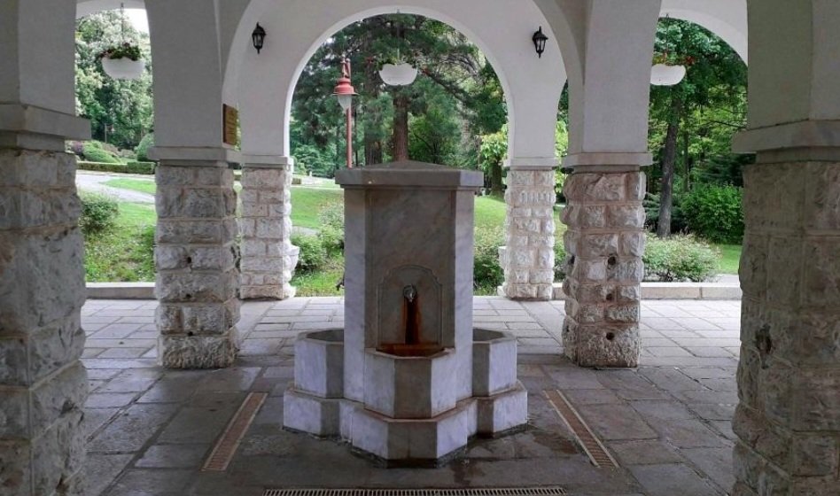 BranislavaDedic's tweet photo. Ne mogu da verujem da je ovo kulturno dobro u Bukovičkoj banji srušeno! Pod zaštitom države od 1989.!!! Ovde će zidati hotel? 
Koliki majmun treba da budeš da uništiš ovu lepotu od arhitekture? I ko je smeo to da dozvoli? https://t.co/Wj8OwvtW0Q